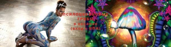 прущие крисы Бронницы