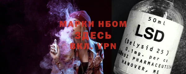 крисы Богородицк