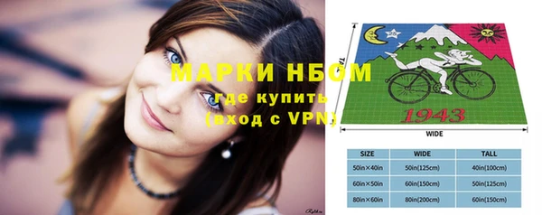 ПСИЛОЦИБИНОВЫЕ ГРИБЫ Бородино