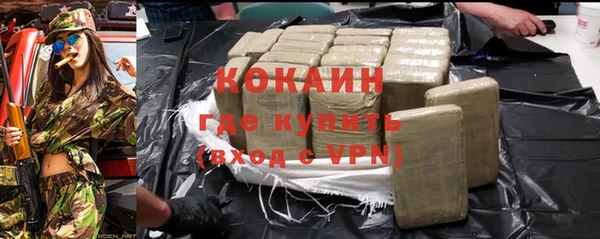 крисы Богородицк