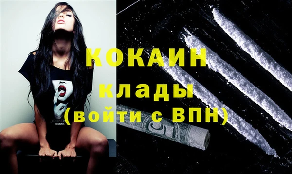 ПСИЛОЦИБИНОВЫЕ ГРИБЫ Бородино