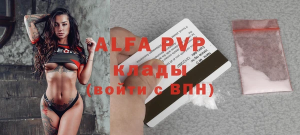 крисы Богородицк