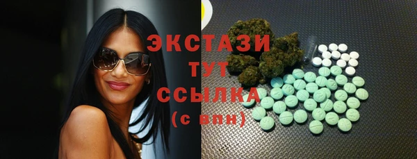 крисы Богородицк