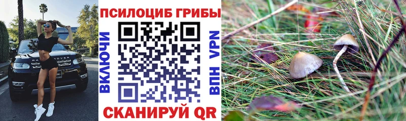 Псилоцибиновые грибы ЛСД Коряжма