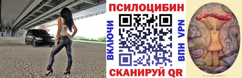 купить наркотик  Коряжма  Псилоцибиновые грибы мицелий 
